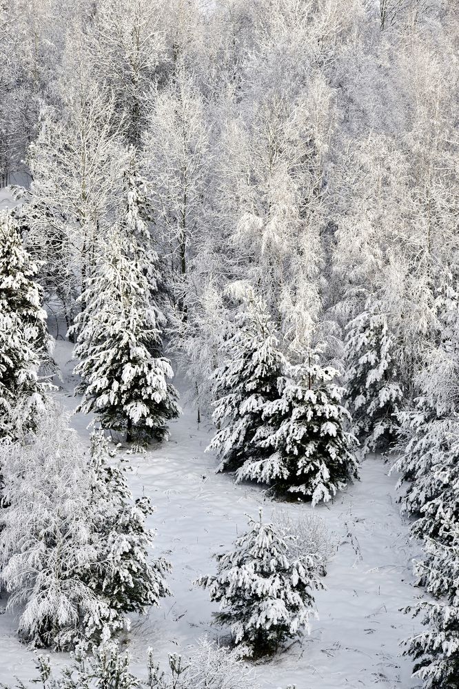 Photograph by Ольга Семина