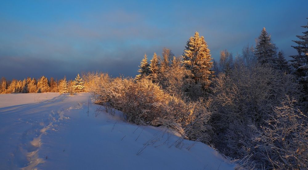 Photograph by PERESHEIN ANDREY