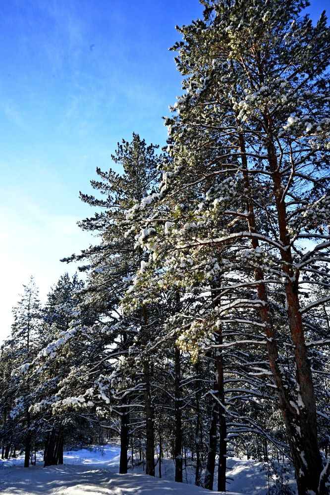 Photograph by Алексей Козлов