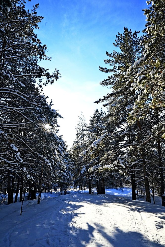 Photograph by Алексей Козлов