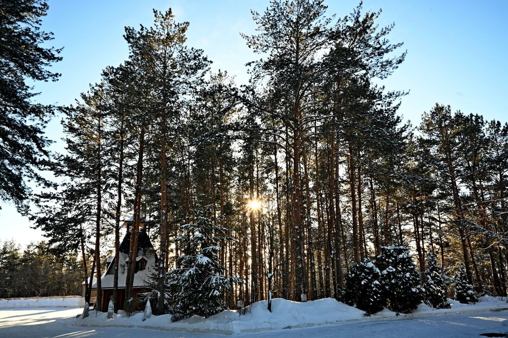 Photograph by Алексей Козлов