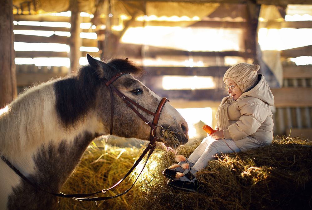 Photograph by Екатерина Крыга
