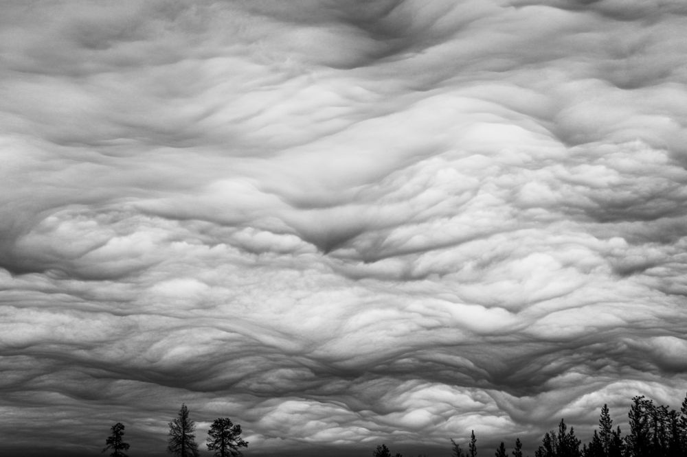 Суровое, северное