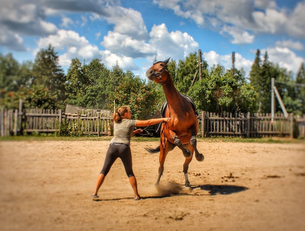 Photograph by Мария Андреева