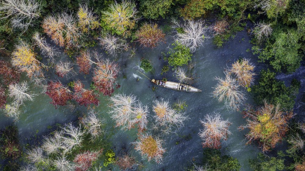 Photograph by NGUYEN HAI