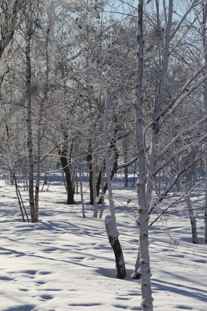 Photograph by Наталья Алексеева