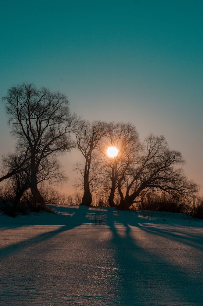 Photograph by Vitaly Zubkov