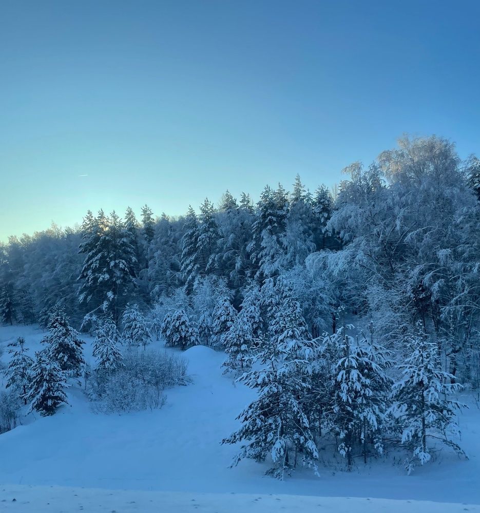Photograph by Света Семёнова