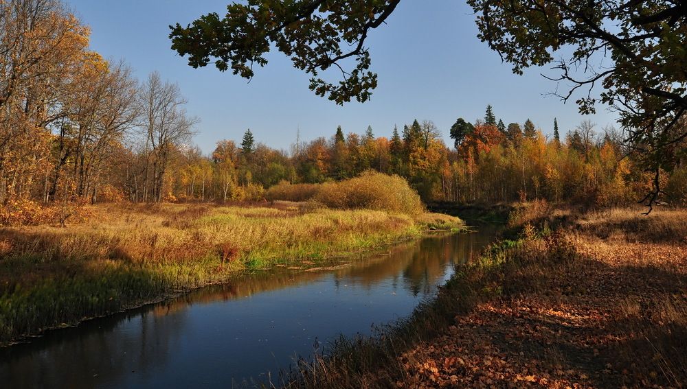 Photograph by Светлана