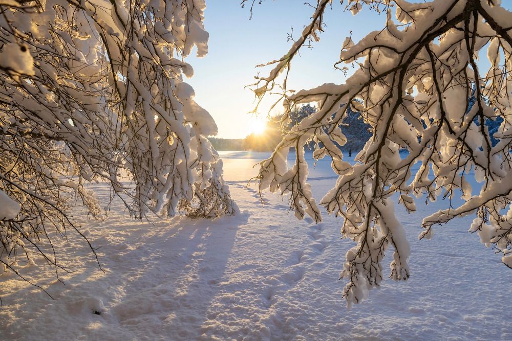 Photograph by Николай Рымар