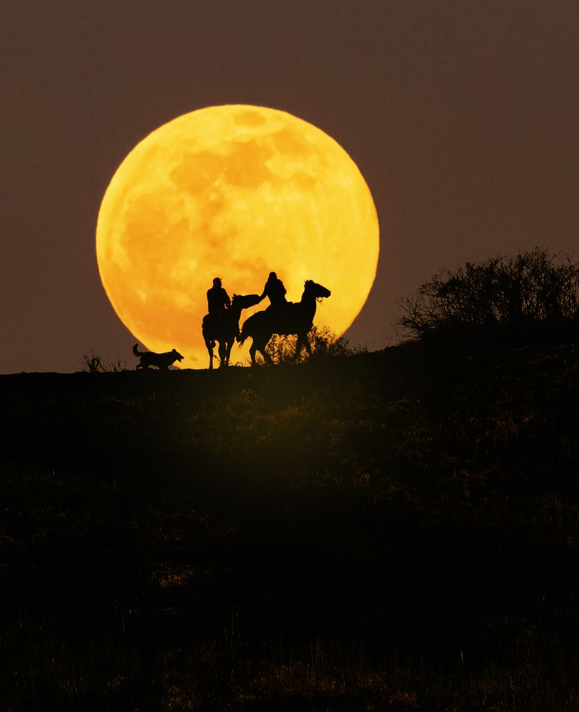 Photograph by Natalia Bolotenkova