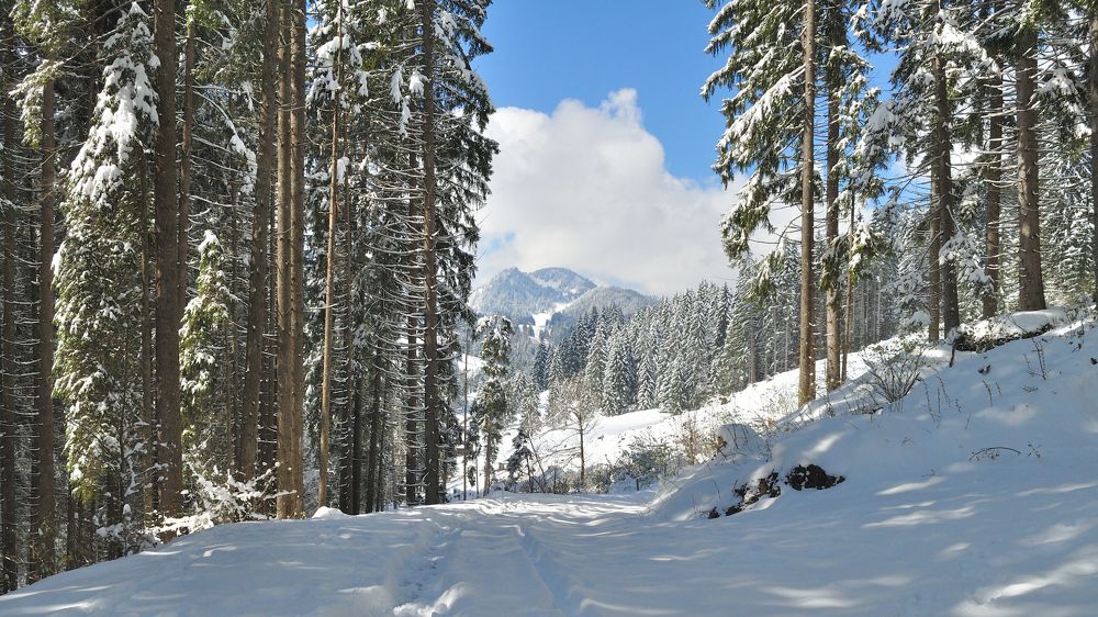 Photograph by Евгений