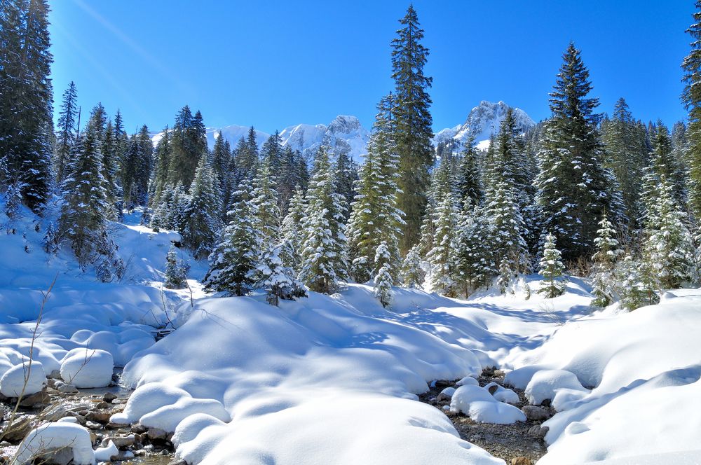 Photograph by Евгений