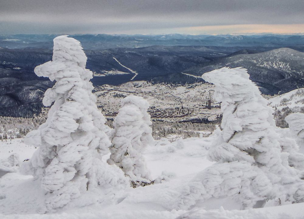 Photograph by Gunter Graiss