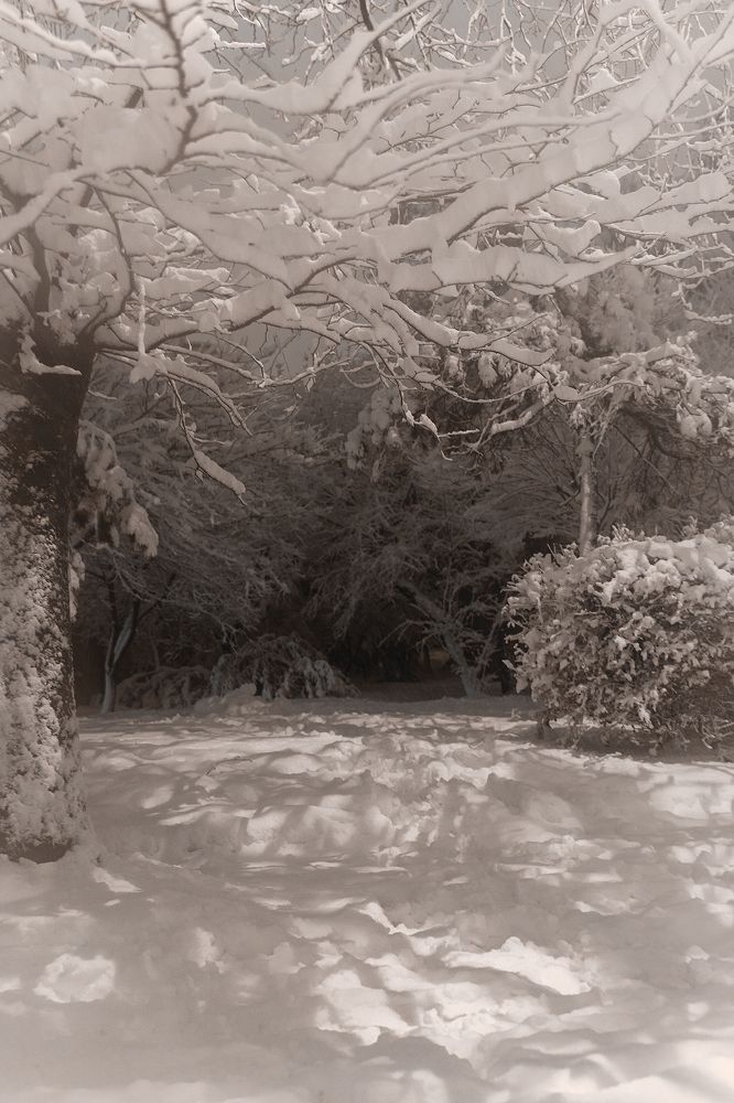 Photograph by Гузенко Анатолий