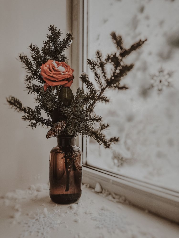 Photograph by Марина