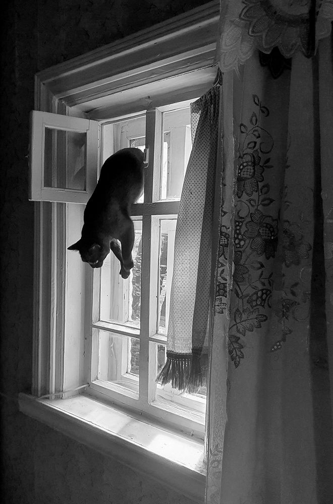 Фотография автора Надежда Лисицына