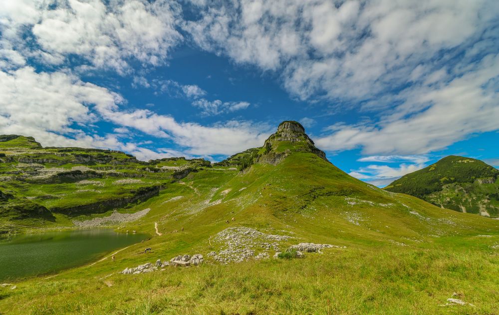 Photograph by Eva Wiedemann