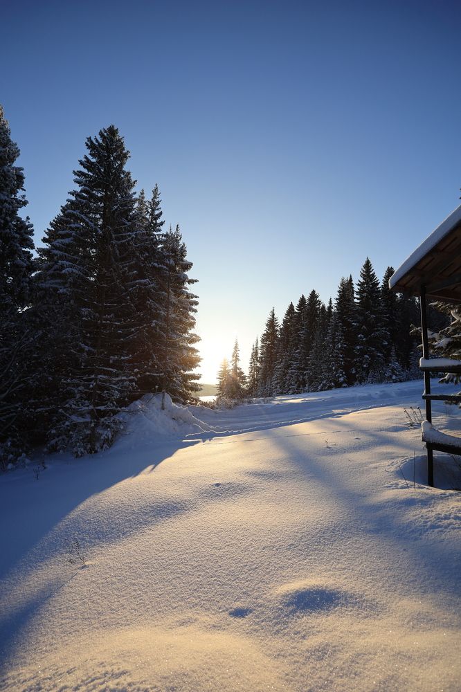 Photograph by Evgenii Kozyrev