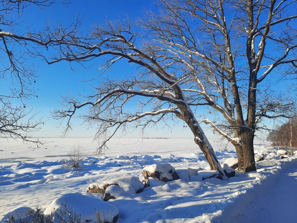 Photograph by Игорь