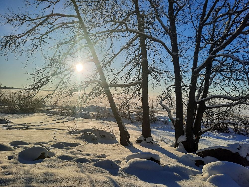 Photograph by Игорь