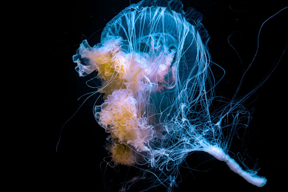 Photograph by Eva Wiedemann