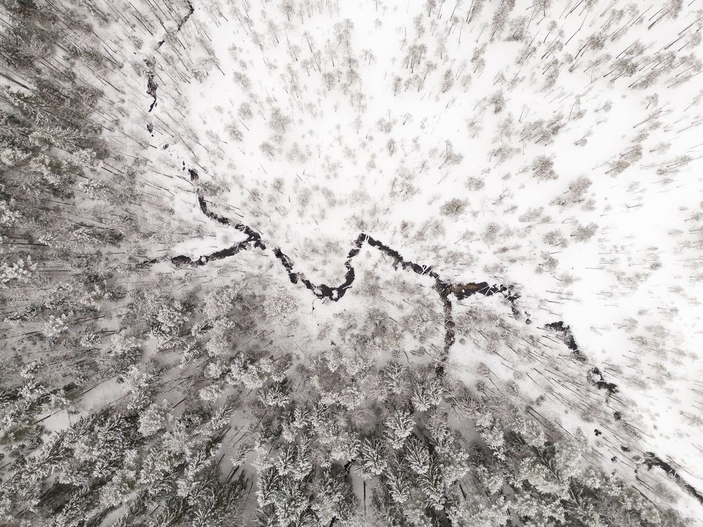 Photograph by Илья Юфа