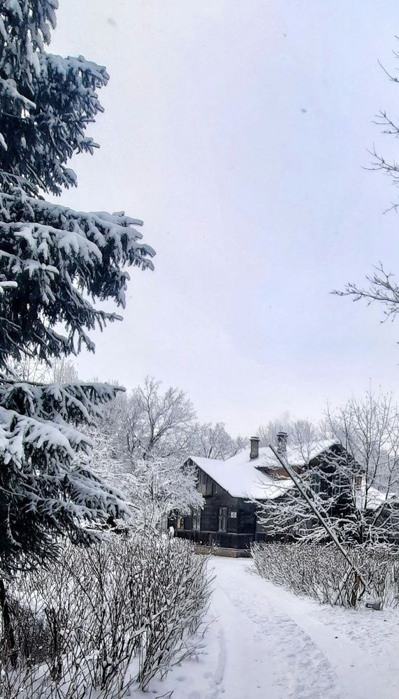 Photograph by Игорь