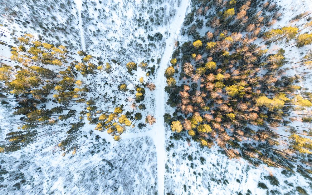 Photograph by Илья Юфа