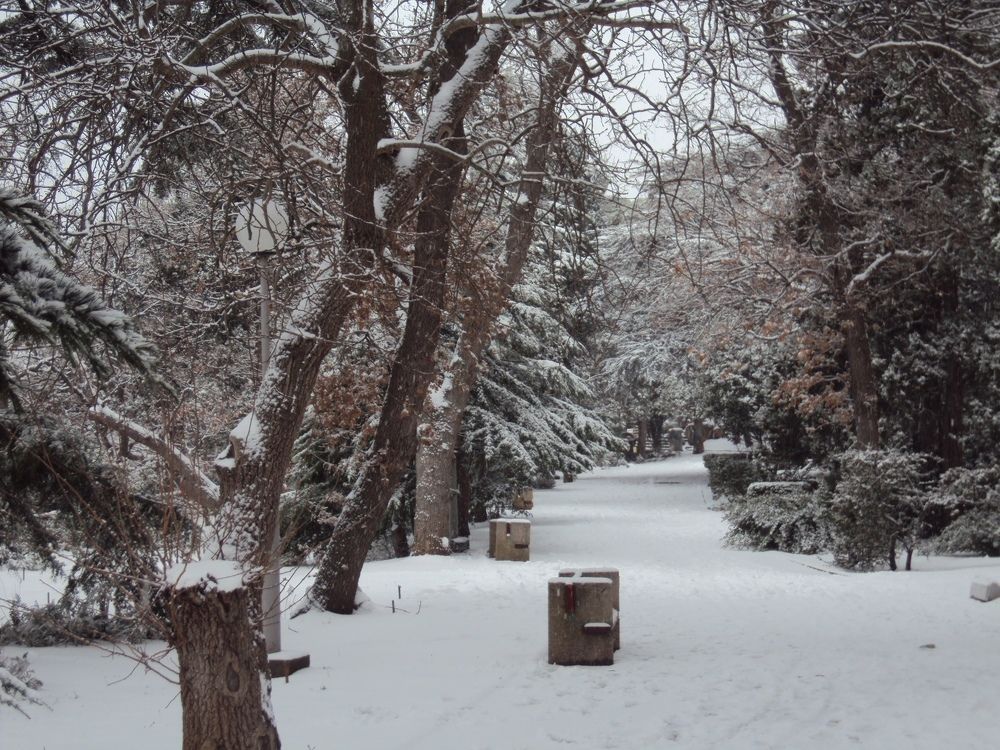 Photograph by Екатерина Игоревна