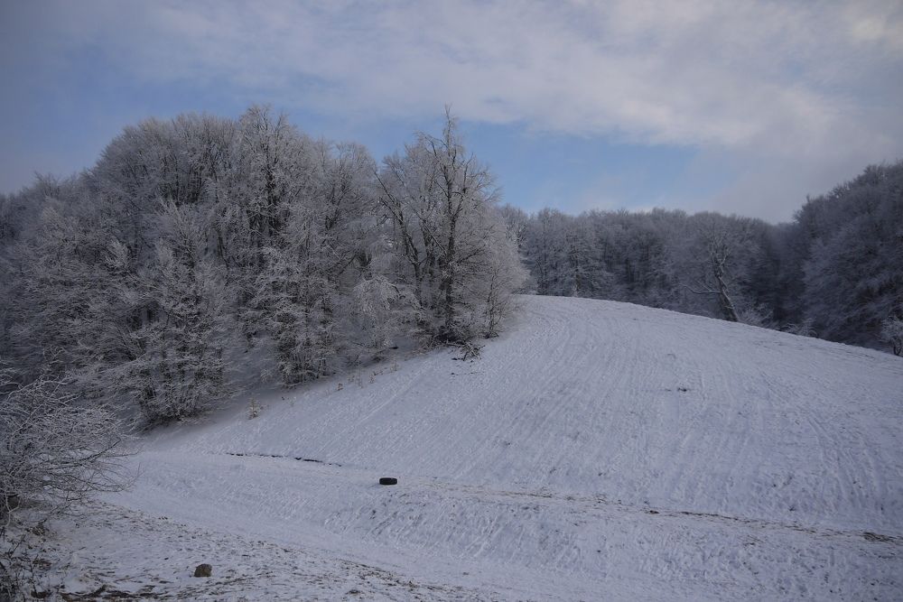 Photograph by Екатерина Игоревна