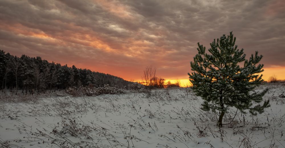 Photograph by Васенков Геннадий