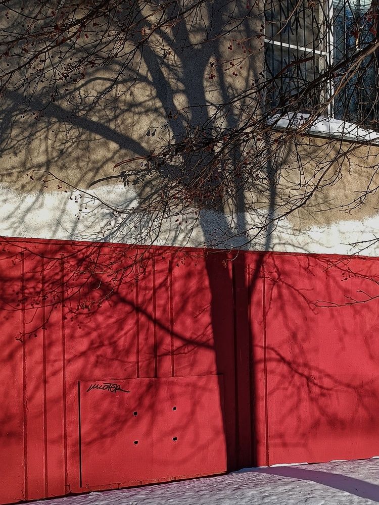 Photograph by Инна Лисовская