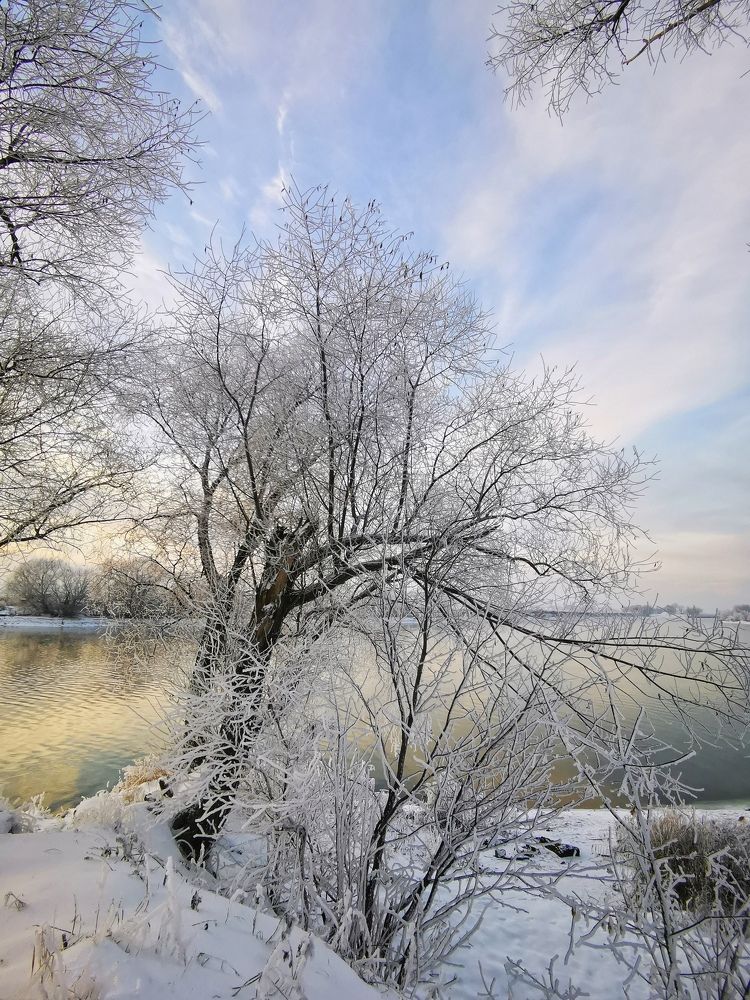 Photograph by Елена Артёменко