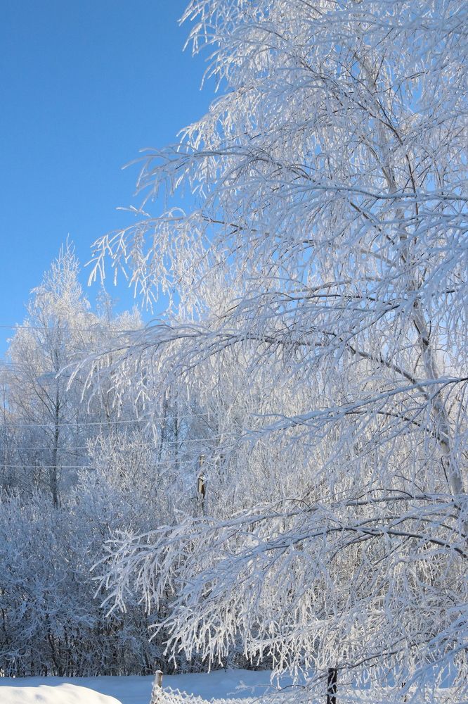 Photograph by Ирина Садовникова