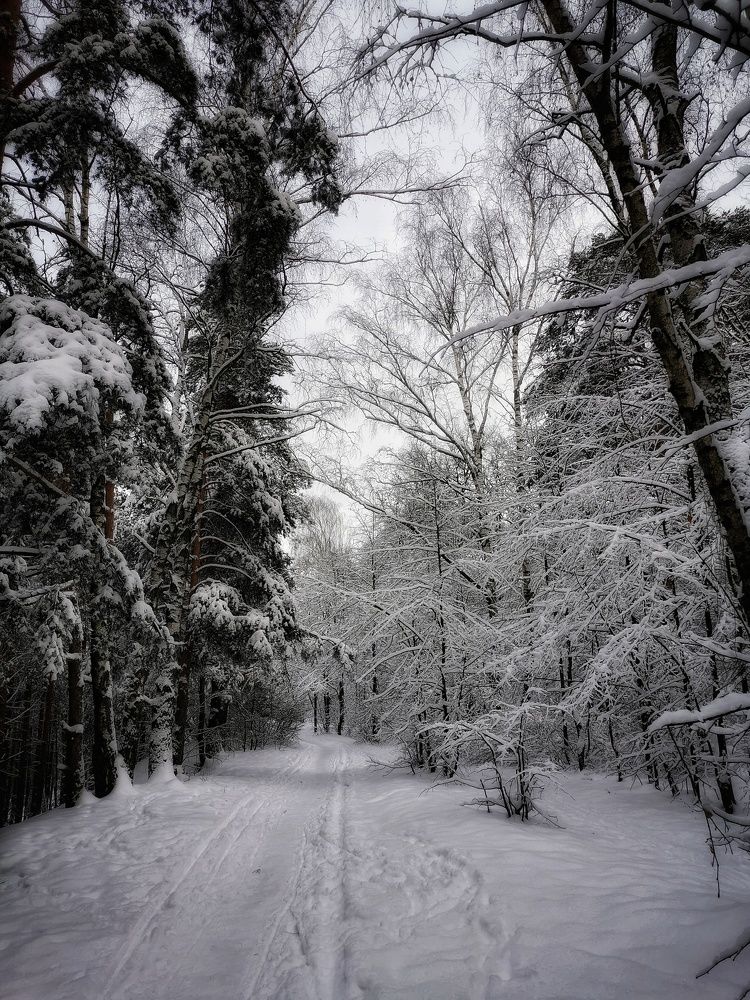 Photograph by Елена Артёменко