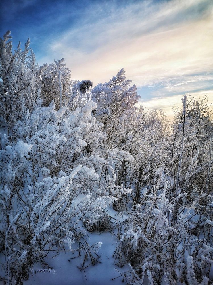 Photograph by Елена Артёменко