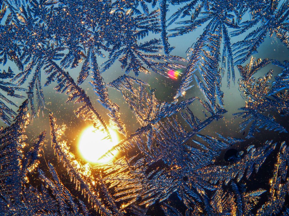 Photograph by Наталья