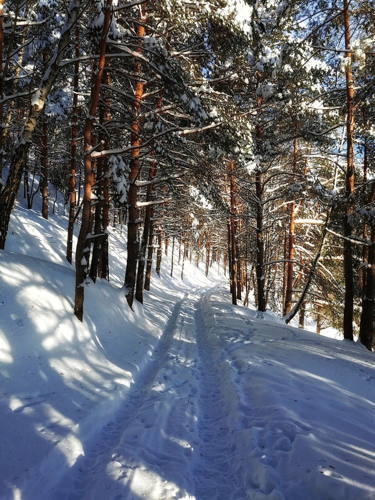 Photograph by Елена Артёменко