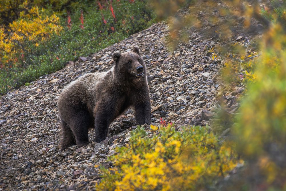 Фотография автора Paolo Barbarini