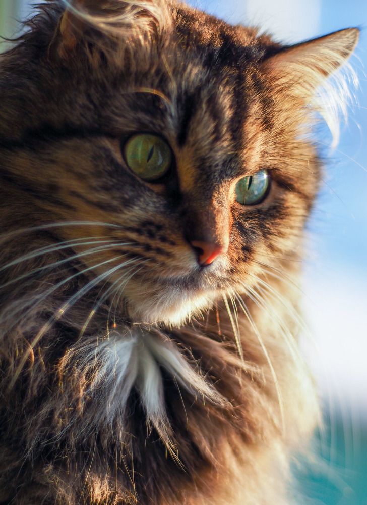 Photograph by Наталья