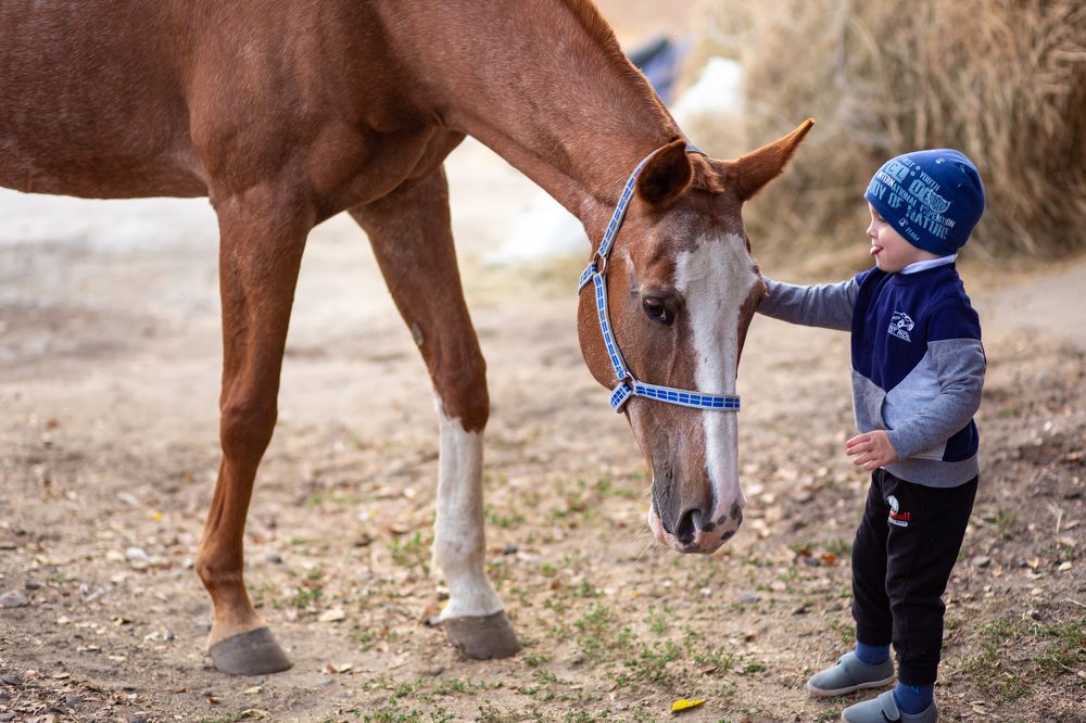 Photograph by Наталья Агаева