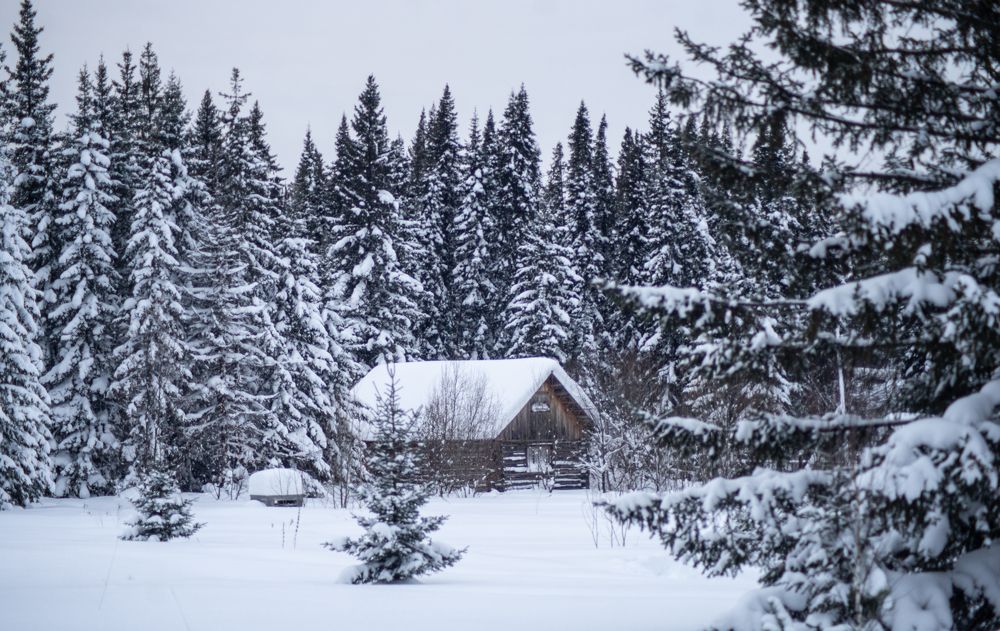 Photograph by Сергей Хранитель