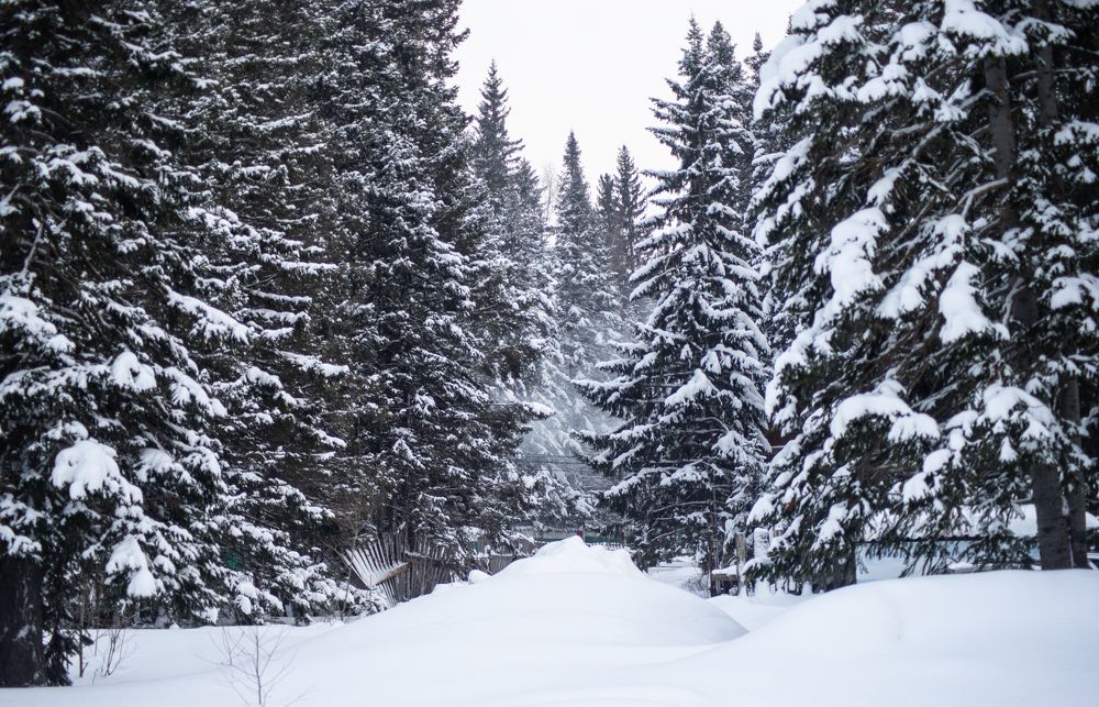 Photograph by Сергей Хранитель