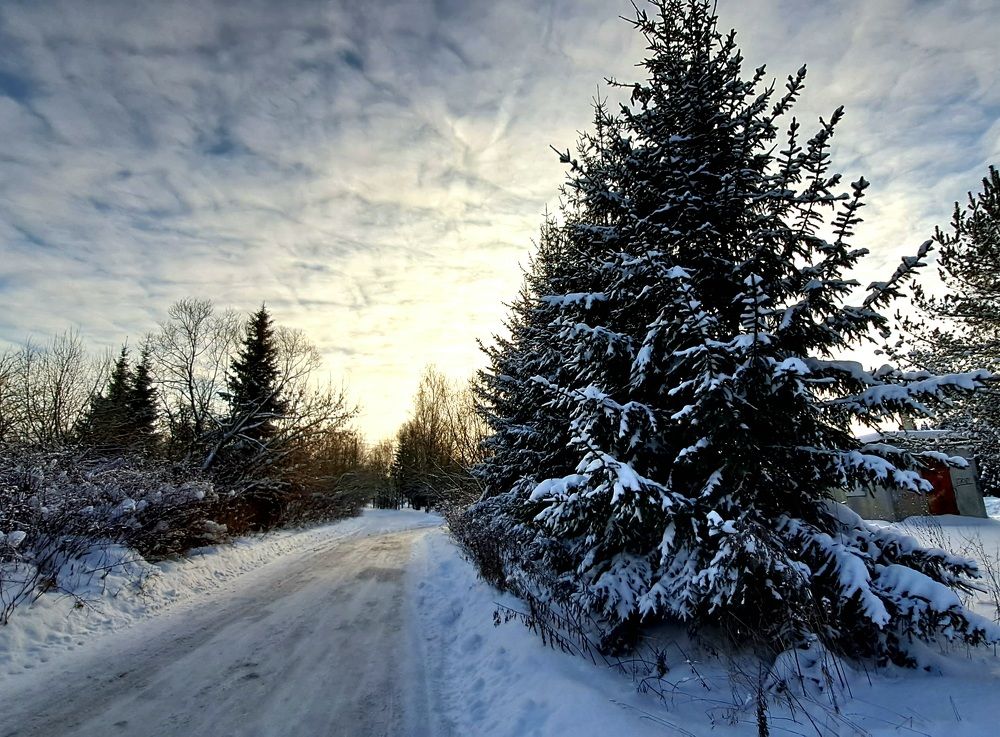 Photograph by Светлана Карпенко