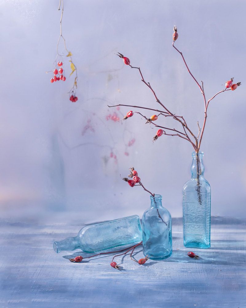 Photograph by  Анастасия Тимарг