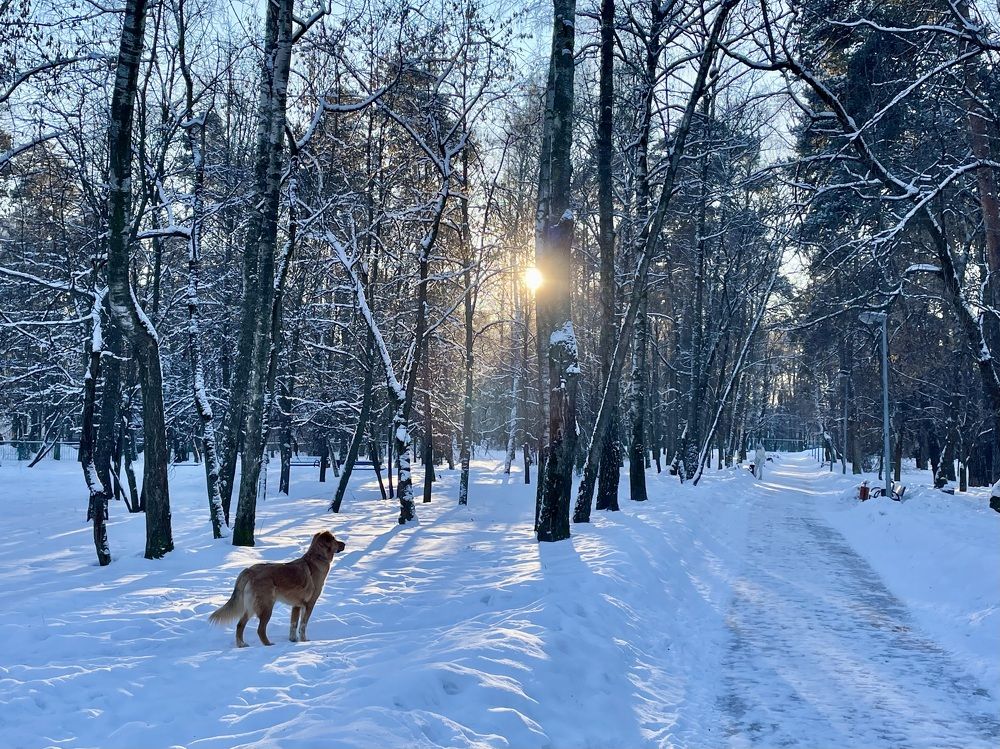 Photograph by Екатерина Шилкина