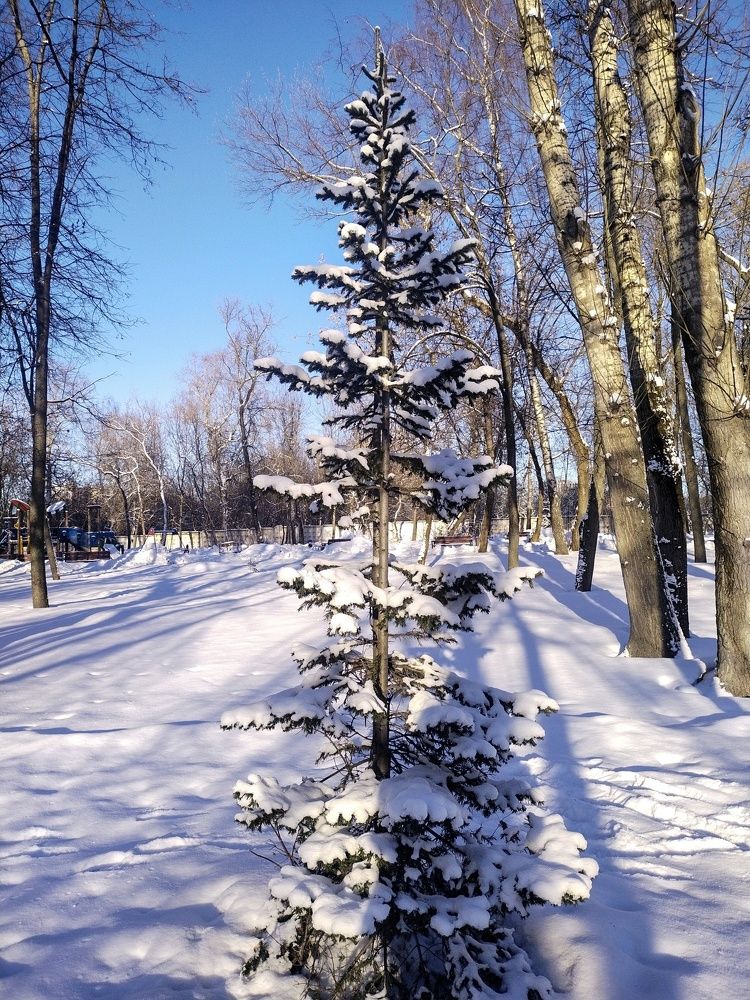 Photograph by Sergey Kurkov-Tarkovsky