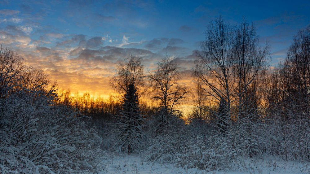 ЯНВАРЬСКИЙ ЗАКАТ