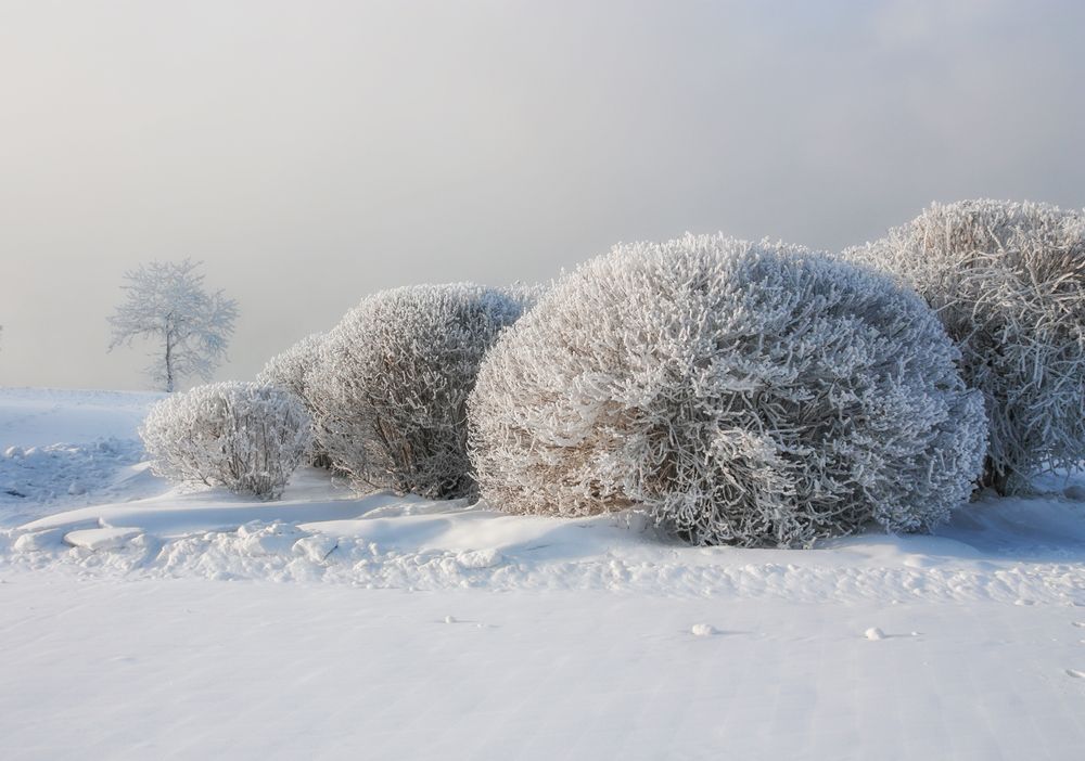 Photograph by Ольга Литвинцева